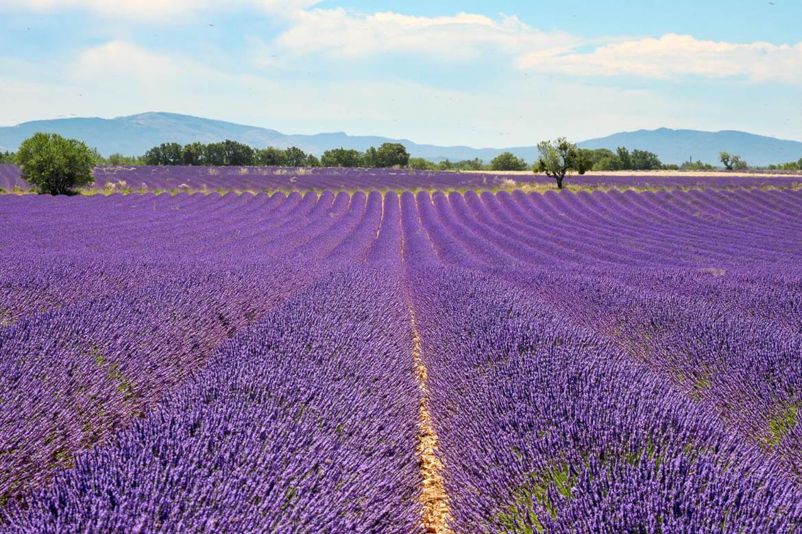 Gite Le Petit Vallon อัลเลอมาญ-ออง-โพรวองซ์ ภายนอก รูปภาพ